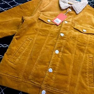 BNWT! Khaki Heavy corduroy trucker Jacket size medium Sherpa collar and lined